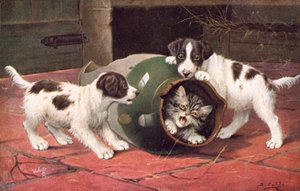 Katten ansichtkaart door Bernard Cobbe