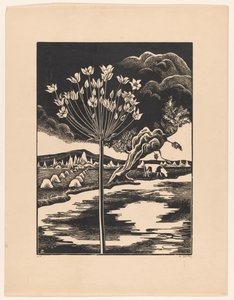 Zwanebloem in een Landschap