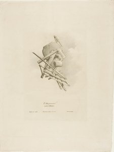 De timmerman, uit Arts et Métiers