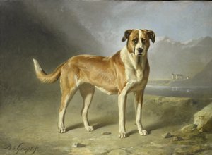 Een Sint-Bernardshond door Bernard te Gempt