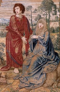 Vlaams wandtapijt. Serie Baldakijn van Karel V (Baldakijn van Margaretha van Oostenrijk). Christus van Barmhartigheid (Cristo de la Misericordia). Wandtapijt paneel achter het baldakijn. Model Bernard van Orley (1491-1542). Fabriek Pieter de Pannemaker, Br door Bernard van Orley