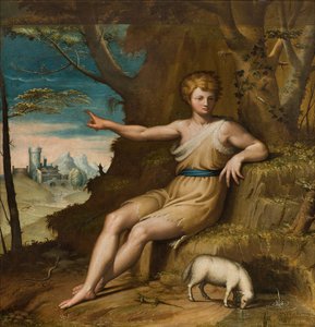 Kapel van Onze Lieve Vrouw van het Volk, Tweede span zuidzijde, Bernardino Campi, San Giovanni nel Desert 1569 door Bernardino Campi
