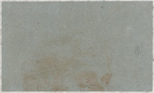 Deel van het hoofd van een man door Bernardino Lanino (possibly)