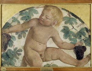 Oogstende putti - Putto onder een prieel, c.1514 (detail) door Bernardino Luini