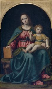 Madonna en Kind door Bernardino Luini