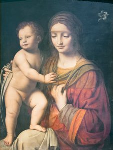 Maagd en Kind door Bernardino Luini
