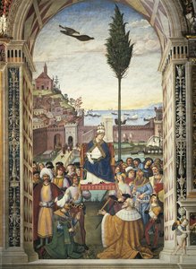 Verhalen van Pius II: Pius II arriveert in Ancona om de Kruistocht te bespoedigen