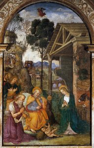 Geboorte met St. Hiëronymus, jeugdige fresco door Bernardino Betti bekend als Il Pinturicchio door Bernardino di Betto Pinturicchio