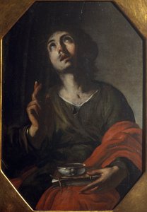 Sint Jan de Evangelist