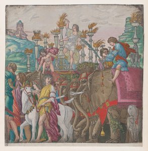 Blad 5: Olifanten, uit De Triomf van Julius Caesar, 1599