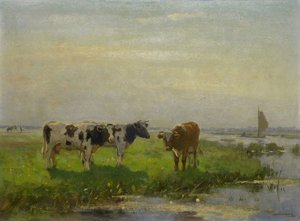 Koeien in de wei