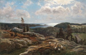 Uitzicht op Ladoga