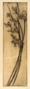 Bajonet Rush door Bertha E. Jaques