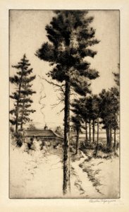 Hut in de wildernis