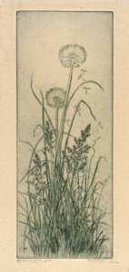 Paardenbloem in het gras door Bertha E. Jaques