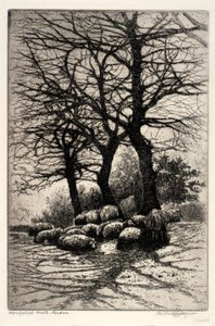 Hampstead Heath, Londen