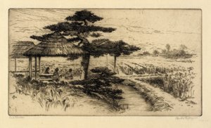Iris Garden door Bertha E. Jaques