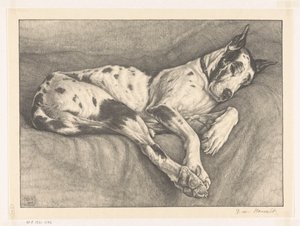 Slapende hond door Bertha van Hasselt (signed by artist)