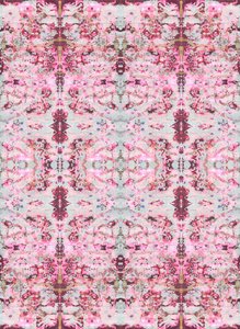 Burgandy Rose, 2015 (gemengde techniek, illustratie, digitaal)