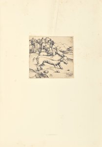 Het monsterlijke varken