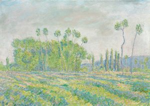 Frans:  Giverny, Peupliers des Ajoux