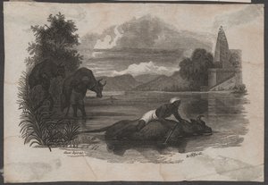 Boeren dragen dood vee, ca. 1850 (gravure)