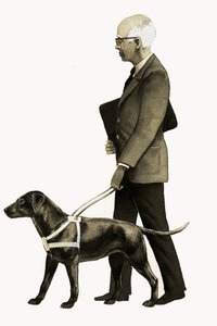 Blindengeleidehond