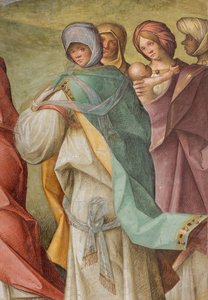 Centrale Schip, Derde Noord Span, Bezoek, Boccaccio Boccaccino 1516-17, (detail) door Boccaccio Boccaccino