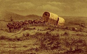 Wilde Westen - muilezelkaravaan op weg naar het westen