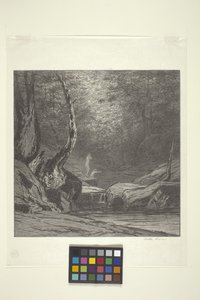 Kromme Boom door Bolton Coit Brown