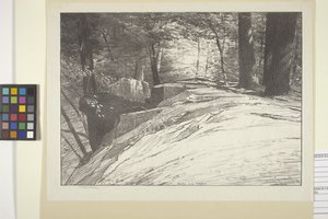 Rotsen En Bomen