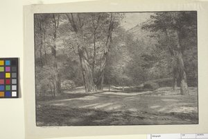 Sierra-bossen