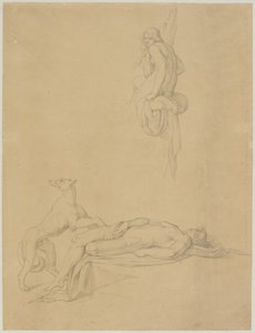 Naaktstudies voor Ovidius