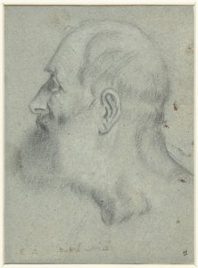 Hoofd van man met baard, in profiel naar links