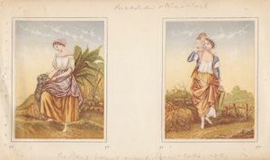 Terugkeer van de lente. Virginia.