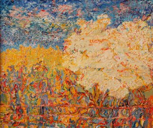 De Vlierboom II