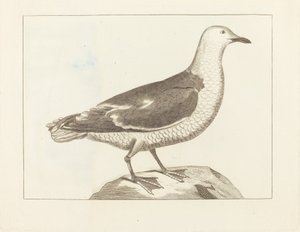 Watervogels