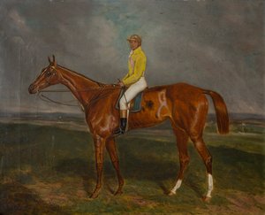 Een kastanjebruin renpaard met jockey door British School