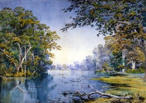 Een beboste rivier