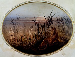 Tijgerjacht geleid door het Britse leger, Verenigd Koninkrijk door British School