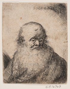 Oude man met grote baard