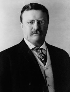Theodore Roosevelt, ca. 1904