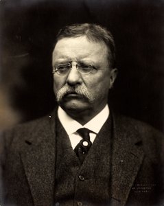 Theodore Roosevelt, ca. 1915 door Brothers Pach