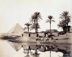 Kamelen drinken aan de voet van de piramides van Egypte - foto door de Zangali broers, eind 19e eeuw door Brothers Zangaki