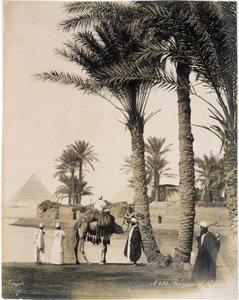 Palmbos aan de voet van de piramides van Egypte - foto van de Zangali broers, eind 19e eeuw door Brothers Zangaki