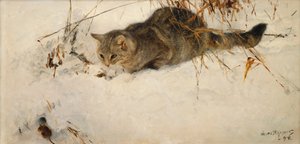 Een Kat die een Muis in de Sneeuw Besluipt