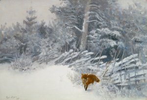 Een vos in winterbos