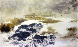Een besneeuwd landschap - een studie