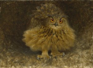 Een oehoe, 1905
