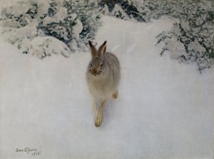 Haas in de Winter door Bruno Andreas Liljefors